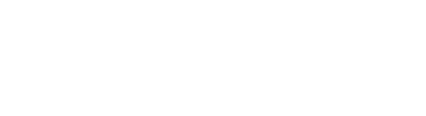 ASIA IDEAL VOYAGE
